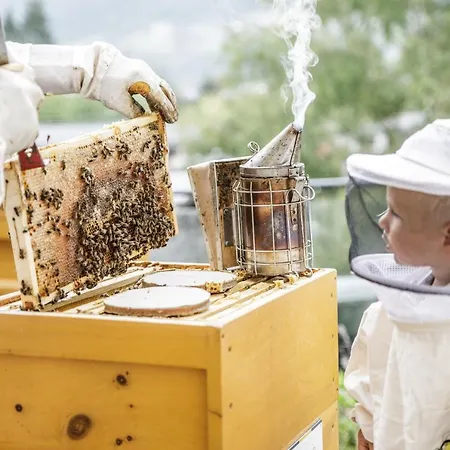 Szálloda Pop-up Living Zell Am 4*