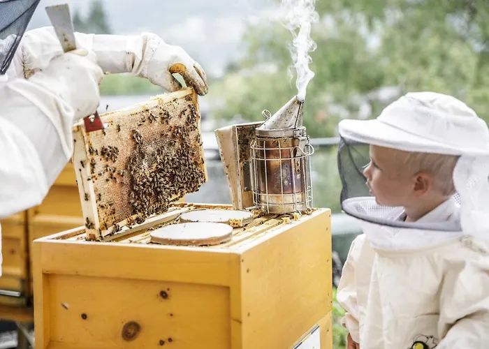 Ξενοδοχείο Pop-up Living Zell Am 4*